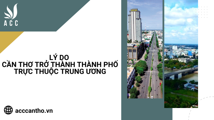 Lý do Cần Thơ trở thành thành phố trực thuộc trung ương