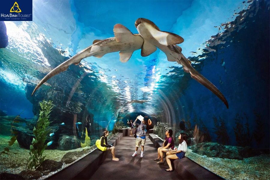 Thủy cung Underwater World giúp du khách khám phá đại dương kỳ thú ngay giữa thành phố Pattaya náo nhiệt 