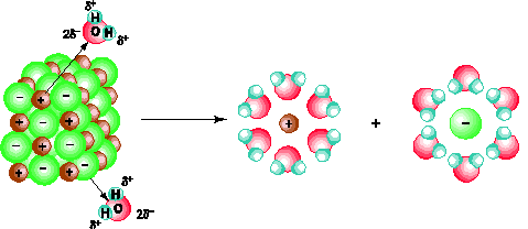 hidroxitt-luong-tinh-la-gi-9