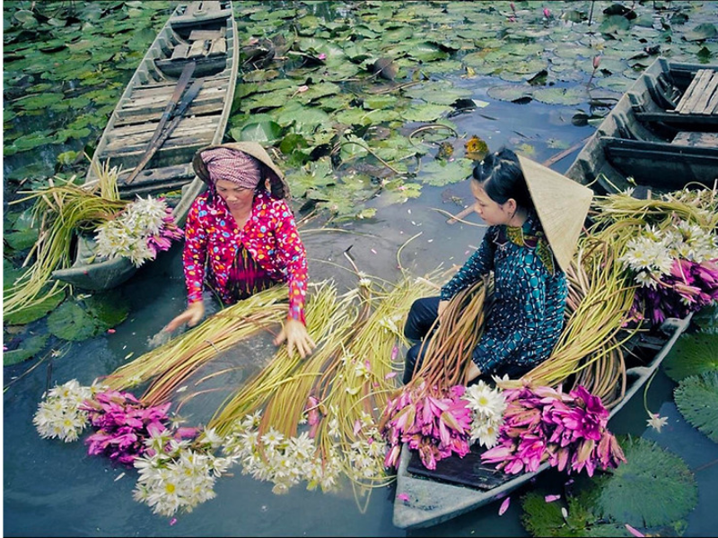 mùa nước nổi_ du lịch Lion Trip