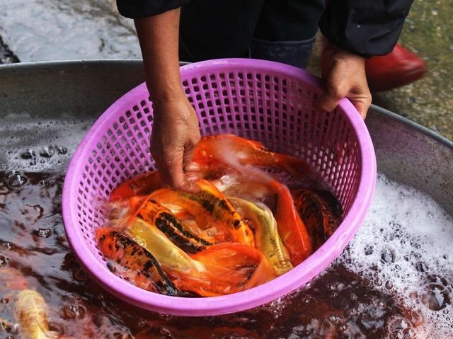 Mâm cúng ông Công, ông Táo và cách hành lễ cần lưu ý - 1