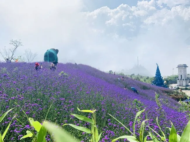 Nét đẹp của Sapa vào màu xuân