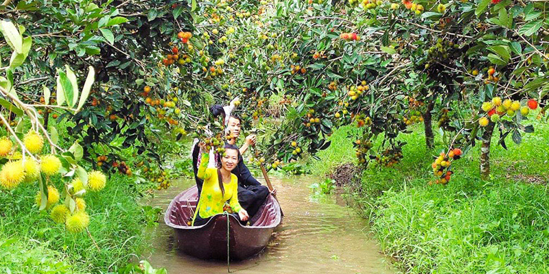 Điểm mặt 8 địa điểm du lịch Cần Thơ lãng mạn cho cặp đôi