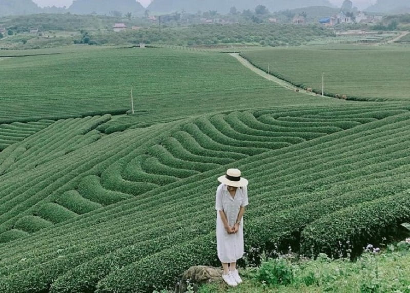 địa điểm du lịch Phú Thọ