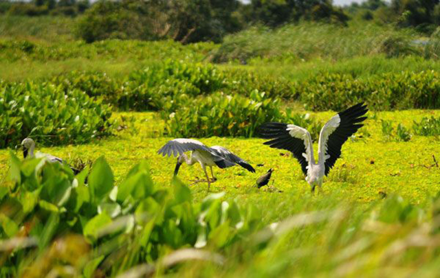 Tour Du Lịch Sinh Thái Việt Nam