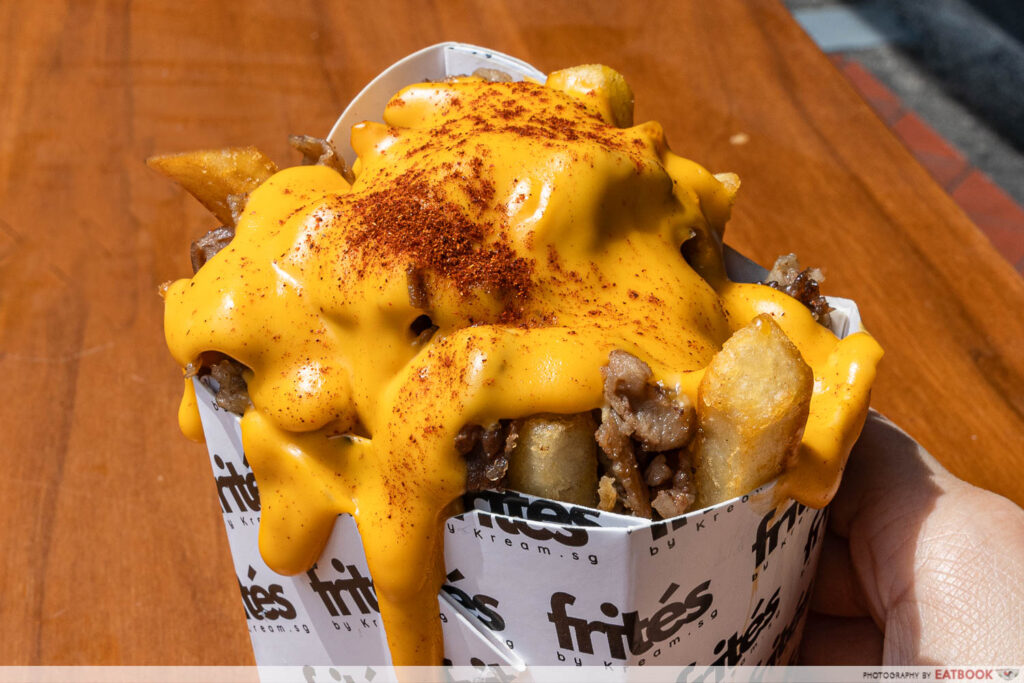 frites-cheese-closeup