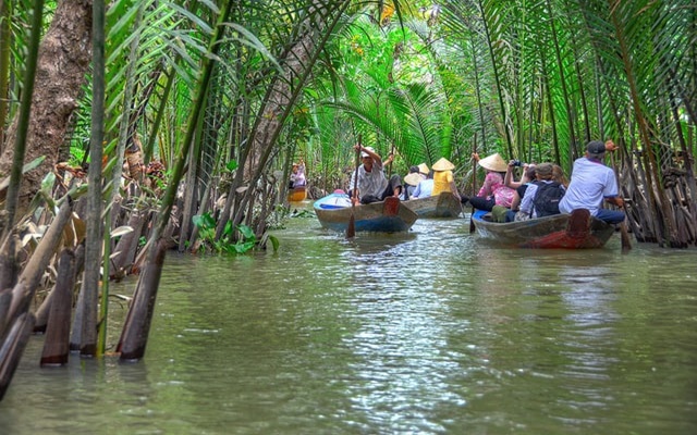 Trải nghiệm khu du lịch Cồn Phụng Bến Tre có gì chơi?