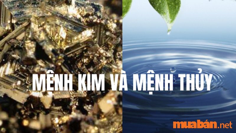 Mệnh Kim hợp mệnh Thủy