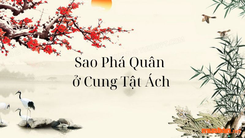 Sao Phá Quân ở Cung Tật Ách