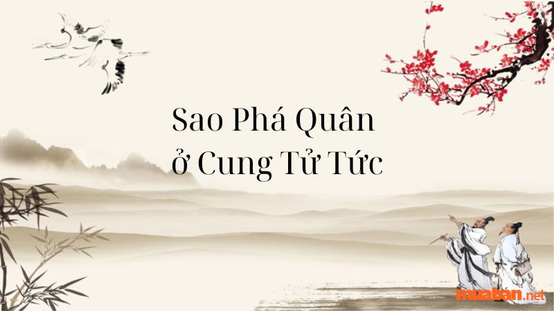 Sao Phá Quân ở Cung Tử Tức