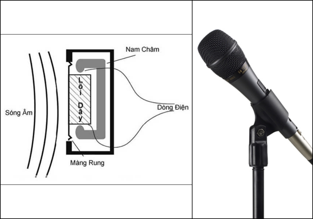 micro-dien-dong