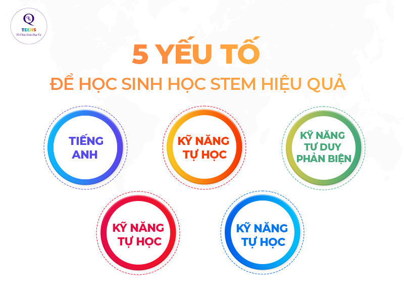 Những yếu tố cần thiết để học sinh tham gia mô hình giáo dục STEM thuận lợi.