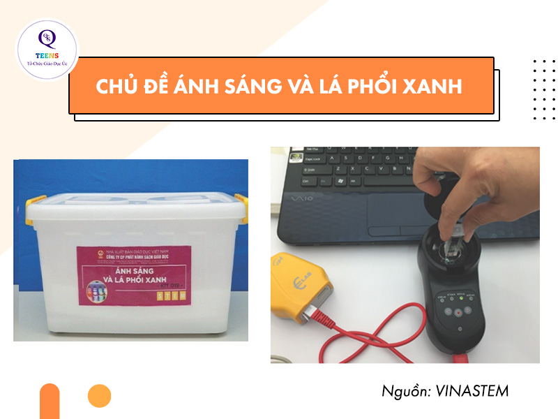 Chủ đề ánh sáng và lá phổi xanh