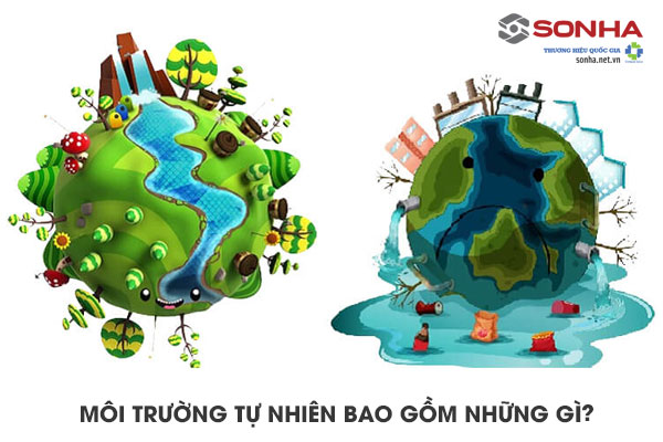 Môi trường tự nhiên bao gồm những gì?