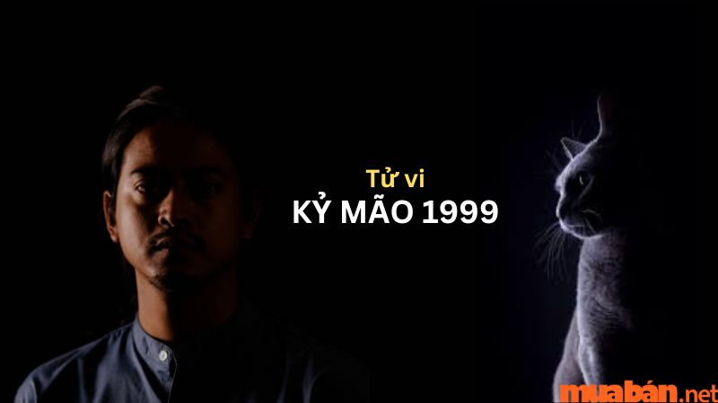 Tóm tắt tử vi Kỷ Mão 1999