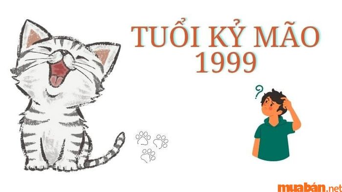 Khám phá chi tiết về tình duyên và chọn vợ tuổi nào hợp nhất cho nam Kỷ Mão 1999