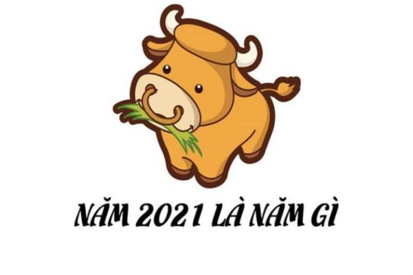 2021 mệnh gì tuổi gì