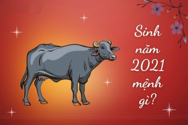 2021 mệnh gì tuổi gì