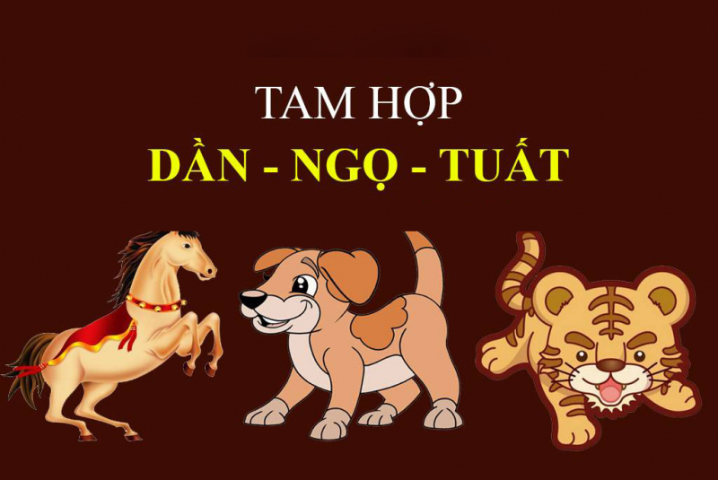 bo-tam-hop-dan-ngo-tuat