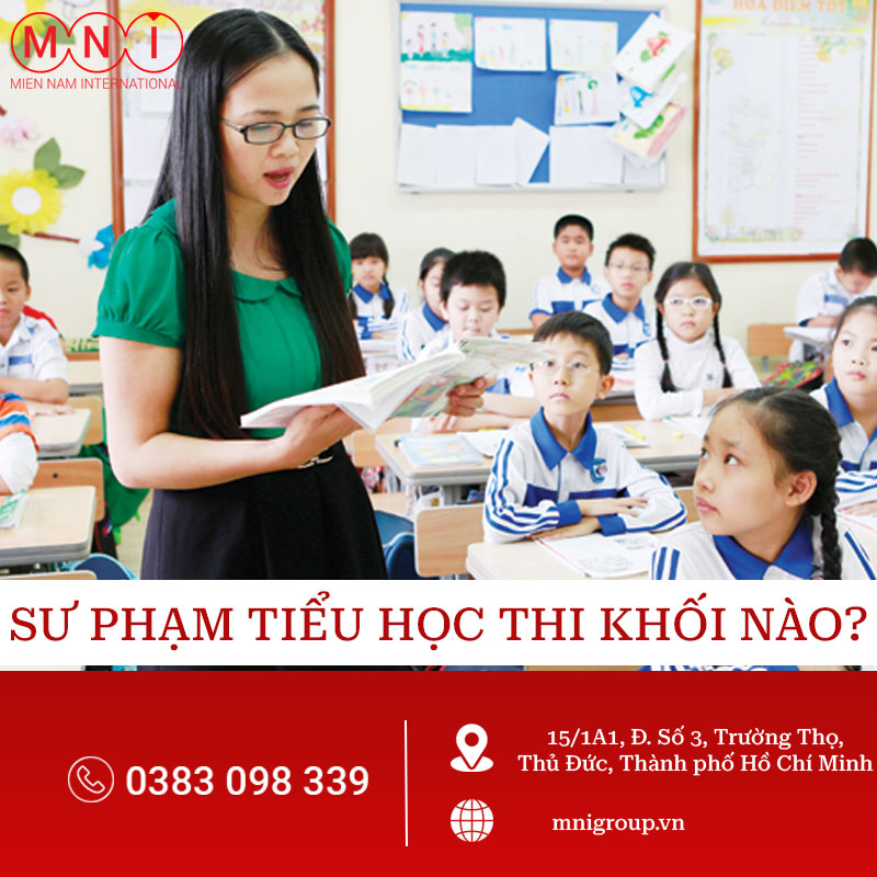 sư phạm tiểu học thi khối nào