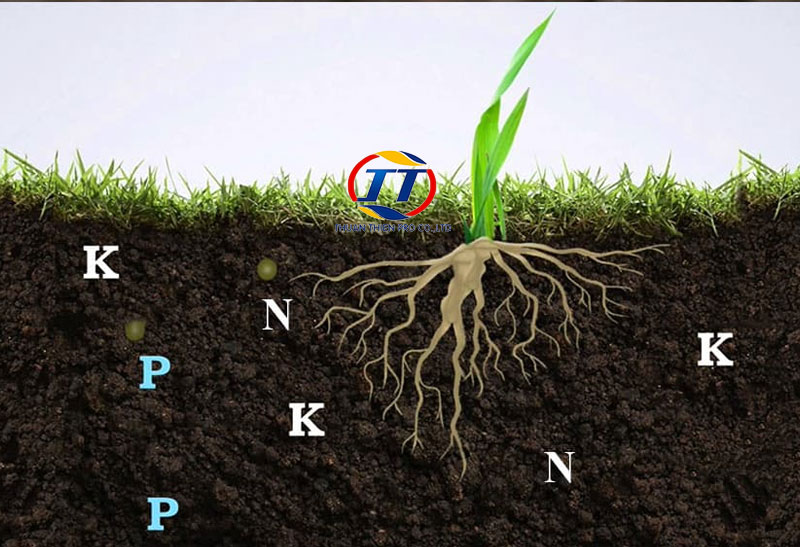 Vai-trò-của-thành-phần-hữu-cơ-trong-đất