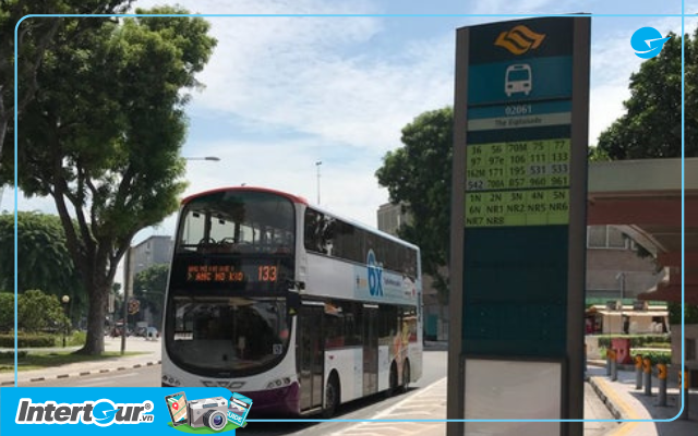 Di chuyển bằng xe bus là thuận tiện và tiết kiệm nhất để đến nhà hát trái Sầu Riêng