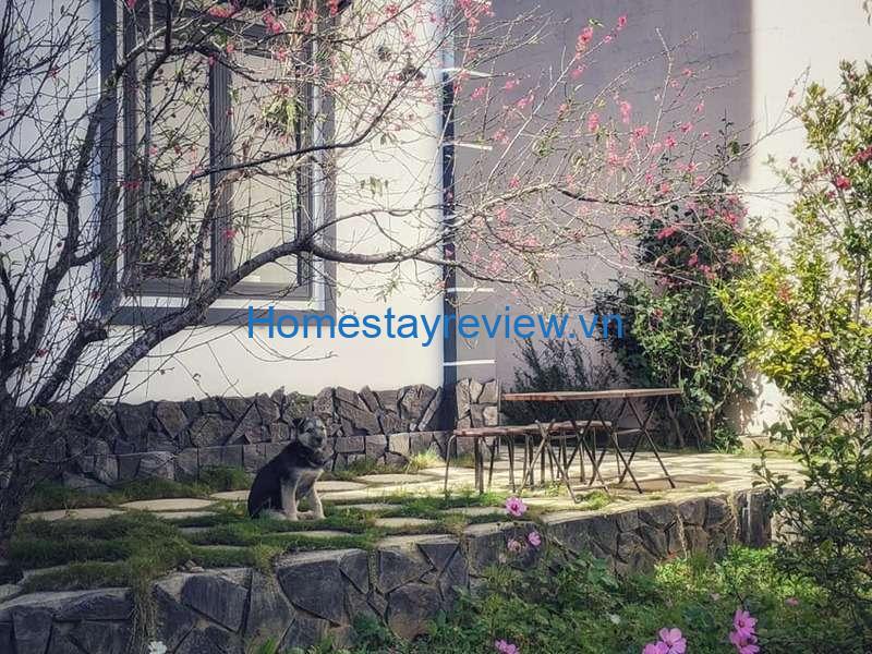 Nhà Trên Đồi Homestay: Điểm dừng chân hoàn mỹ khi đến Đà Lạt