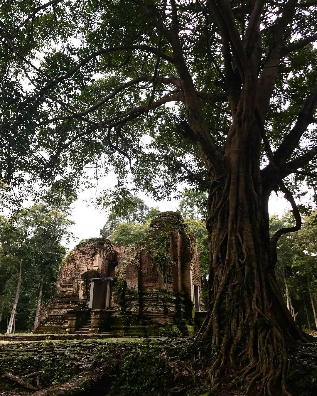 dao-koh-rong-samloem4