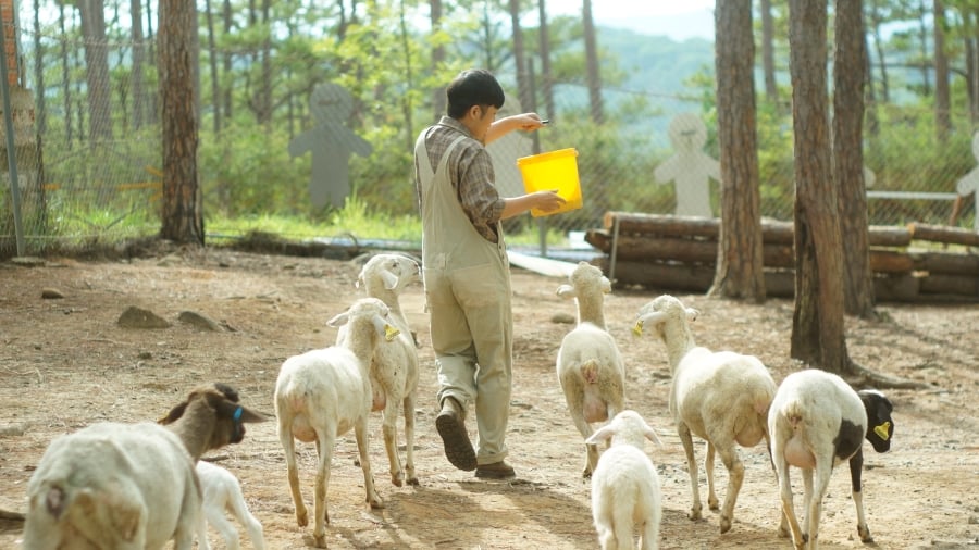 nhà thờ con gà đà lạt