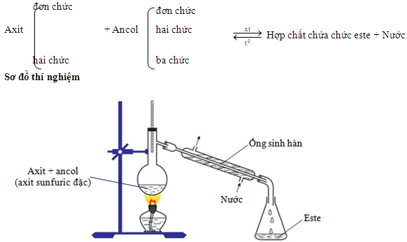 Minh họa phương pháp điều chế este chung