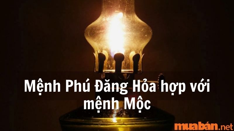 Mệnh Phú Đăng Hỏa hợp với mệnh Mộc