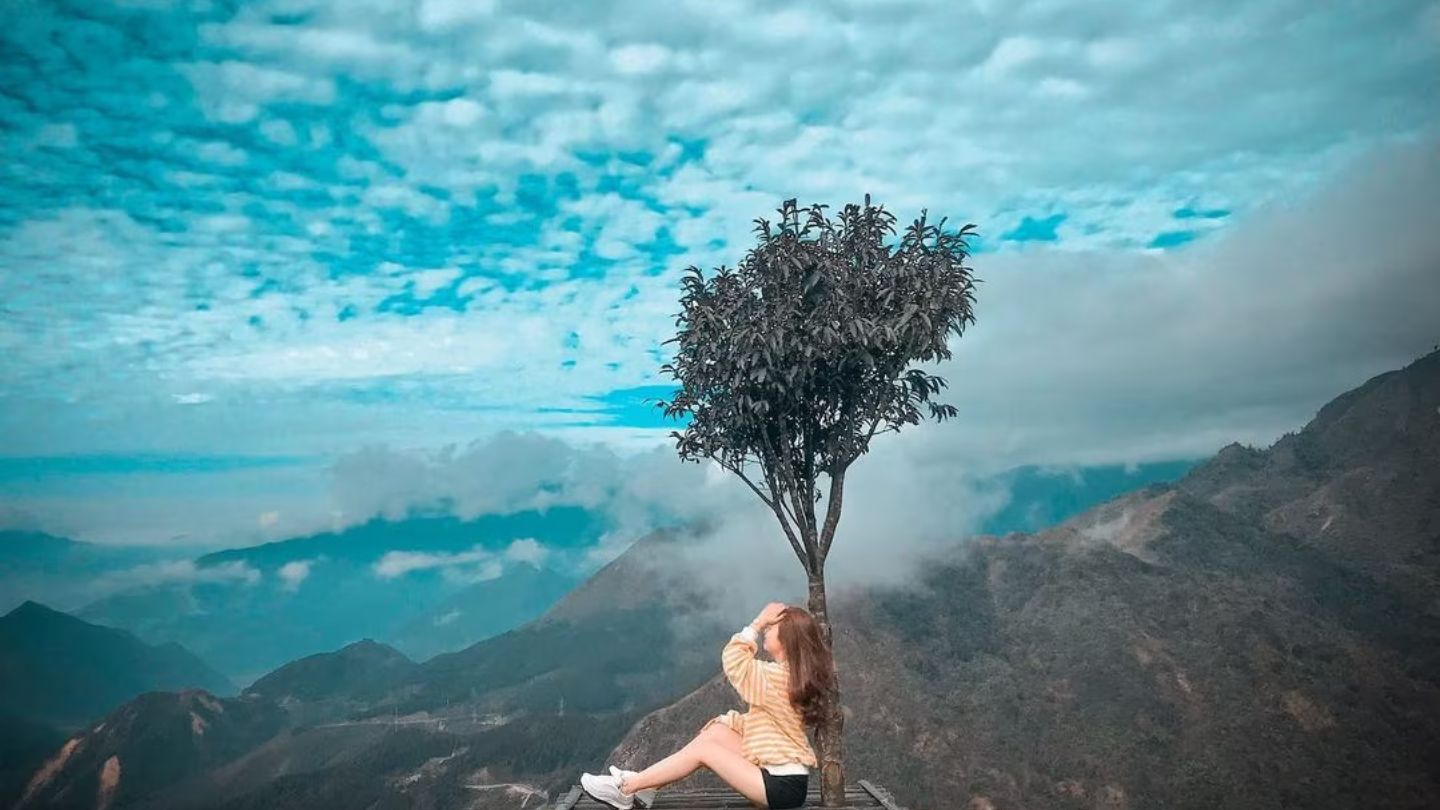 The Lonely Tree with unique meaning