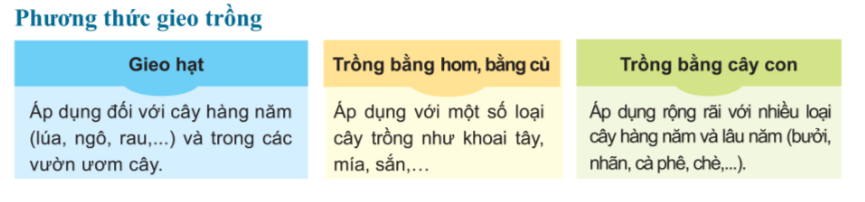 Lý thuyết bài 2: Quy trình trồng trọt - Công nghệ 7 Cánh Diều</>