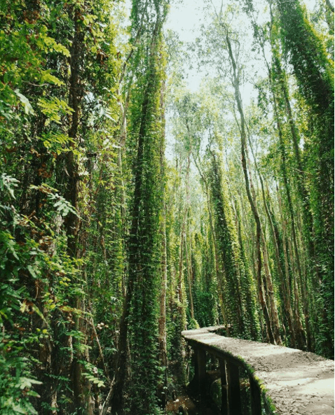 Con đường bê tông dài 5km