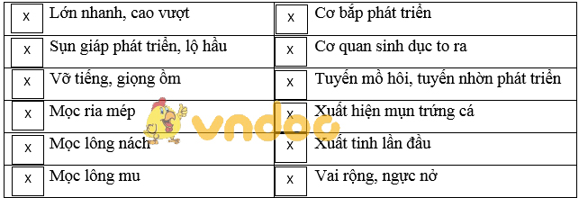 Giải bài tập SGK Sinh học 8 bài 58: Tuyến sinh dục