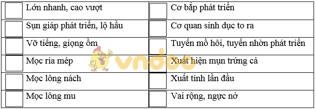 Giải bài tập SGK Sinh học 8 bài 58: Tuyến sinh dục