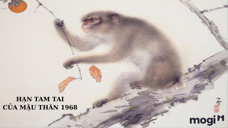 Cách tính tam tai người tuổi Thân 1968