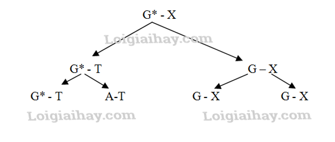 Đột biến gen Sinh học 12</>