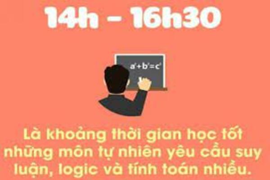 [TopTip] Top 4 Khung Giờ Vàng Giúp Học Bài Tốt Nhất - YBOX