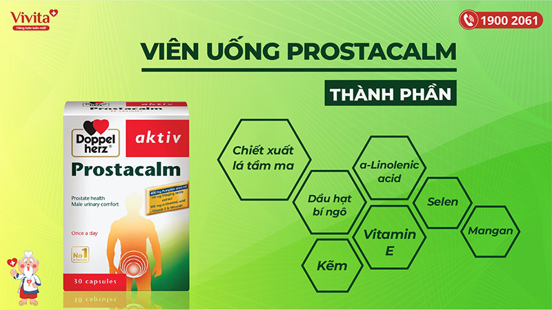 thành phần prostacalm