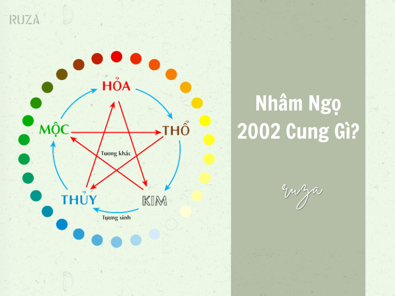 Nhâm Ngọ 2002 cung gì?