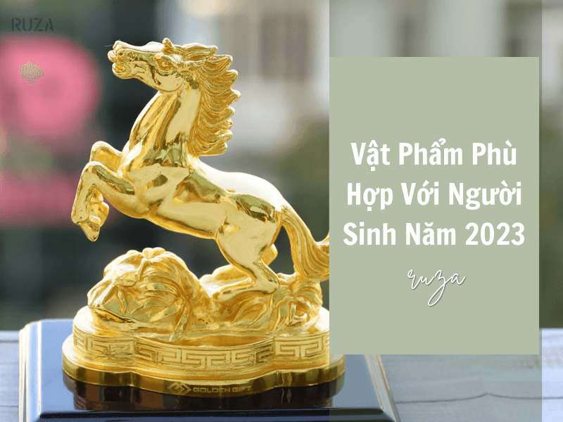 Vật phẩm phù hợp cho người sinh năm 2002