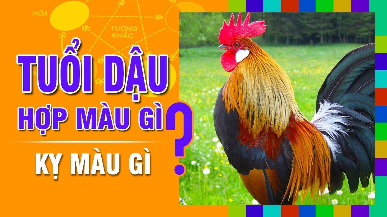 Màu sắc hợp tuổi dậu