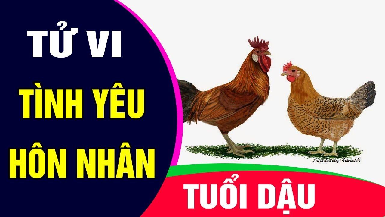 Người tuổi dậu muốn được nhiều người quan tâm