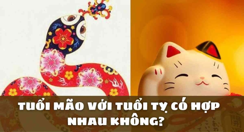 Tuổi Mão và tuổi Tỵ có hợp nhau không? 