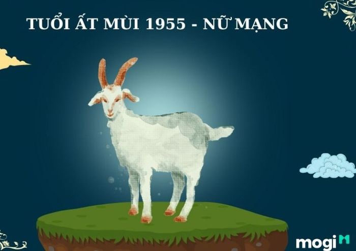 Cuộc đời và vận mệnh của người sinh năm 1955.