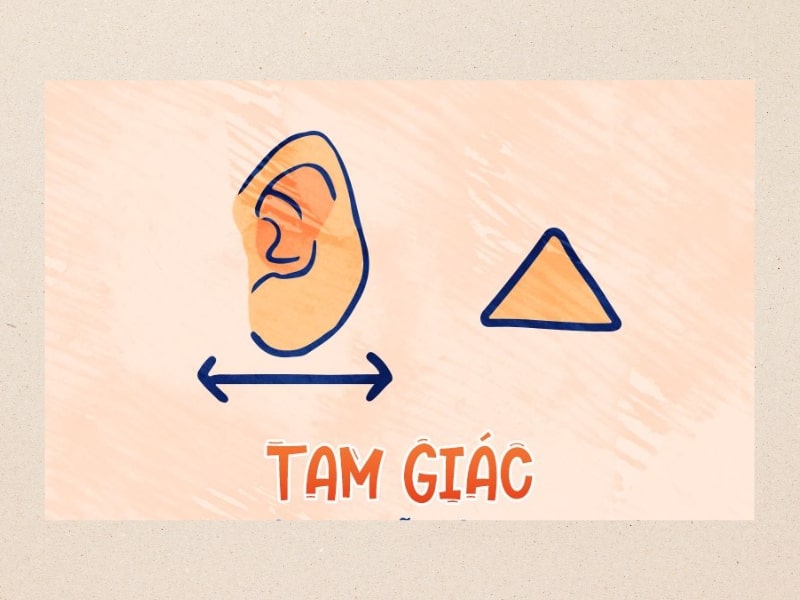 Tướng tai hình tam giác