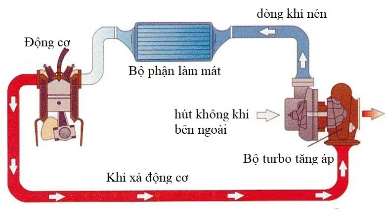 Nguyên lý hoạt động