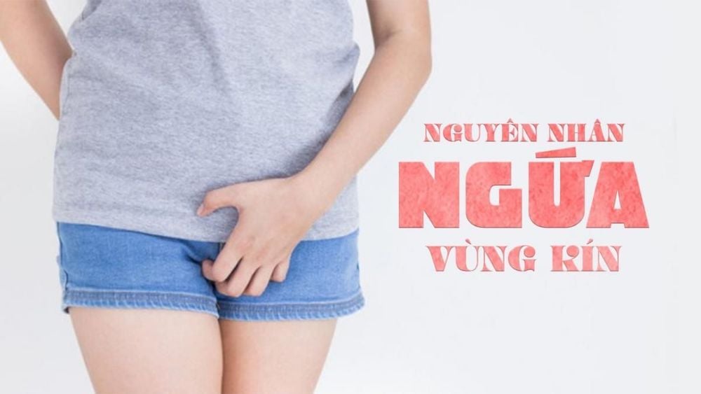 Ngứa vùng kín nữ xảy ra bởi nhiều nguyên nhân.