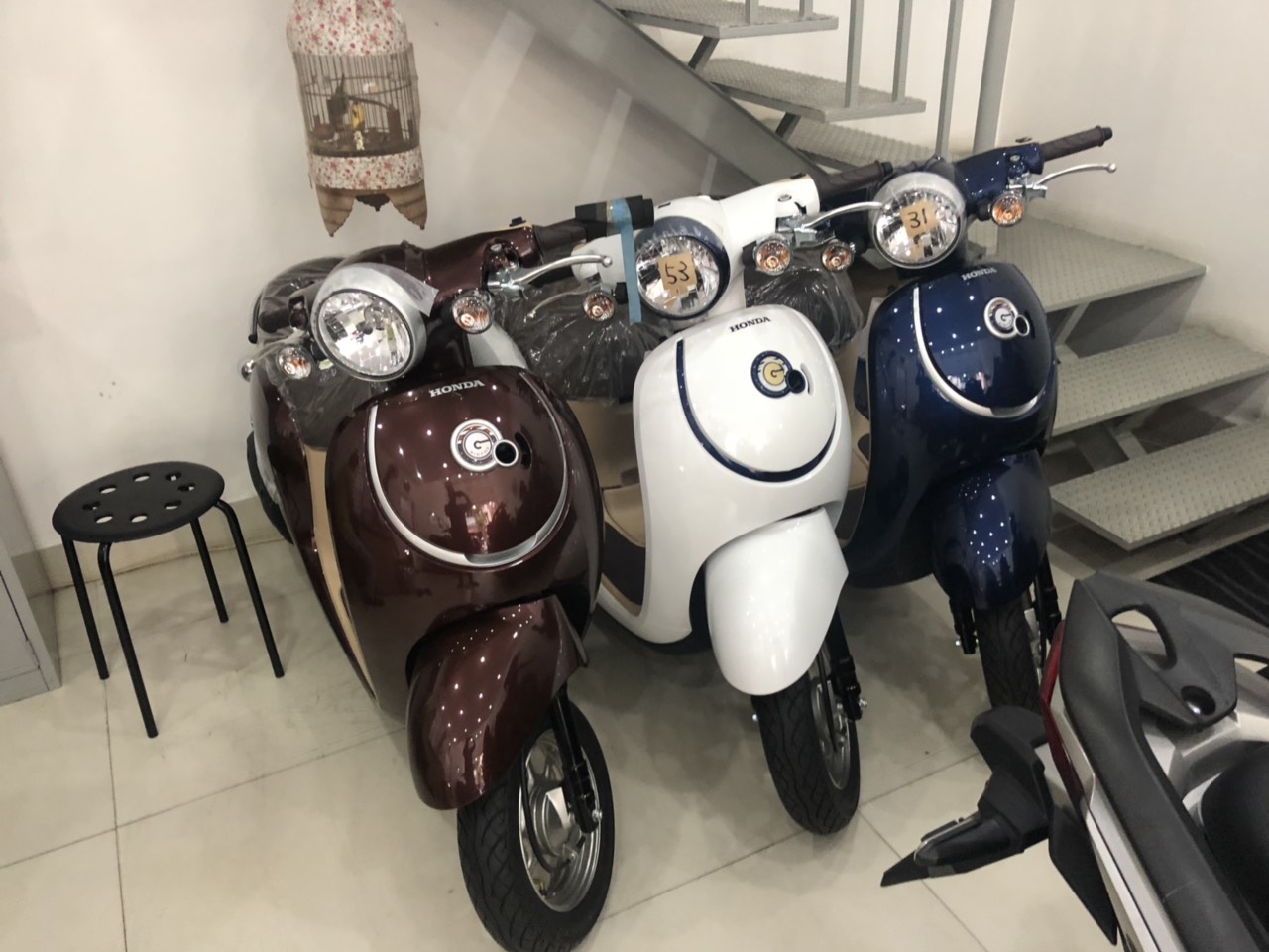 xe-ga-50cc-giorno-1